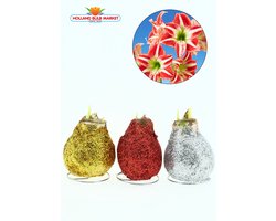 XL Amaryllis Wax Glitter Trio: Goud, Zilver & Rood – Een Sprankelend Cadeau voor uw (kerst) Interieur