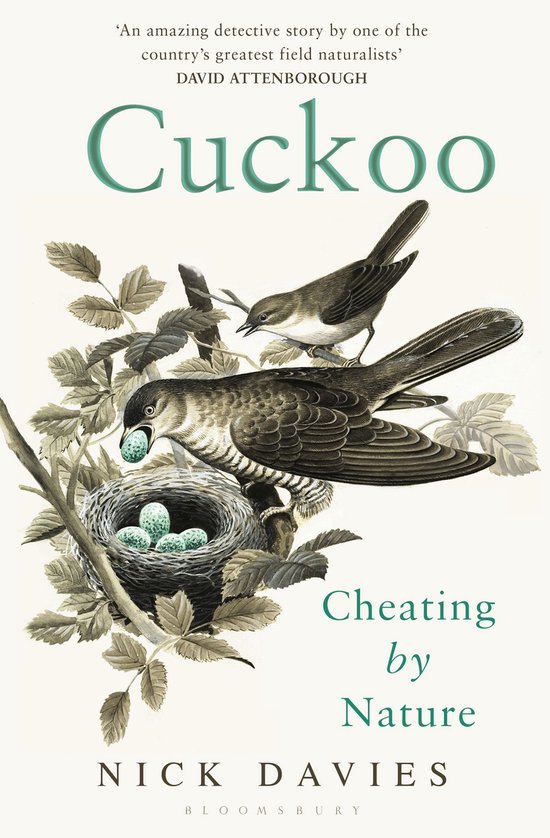 Cuckoo - cover
