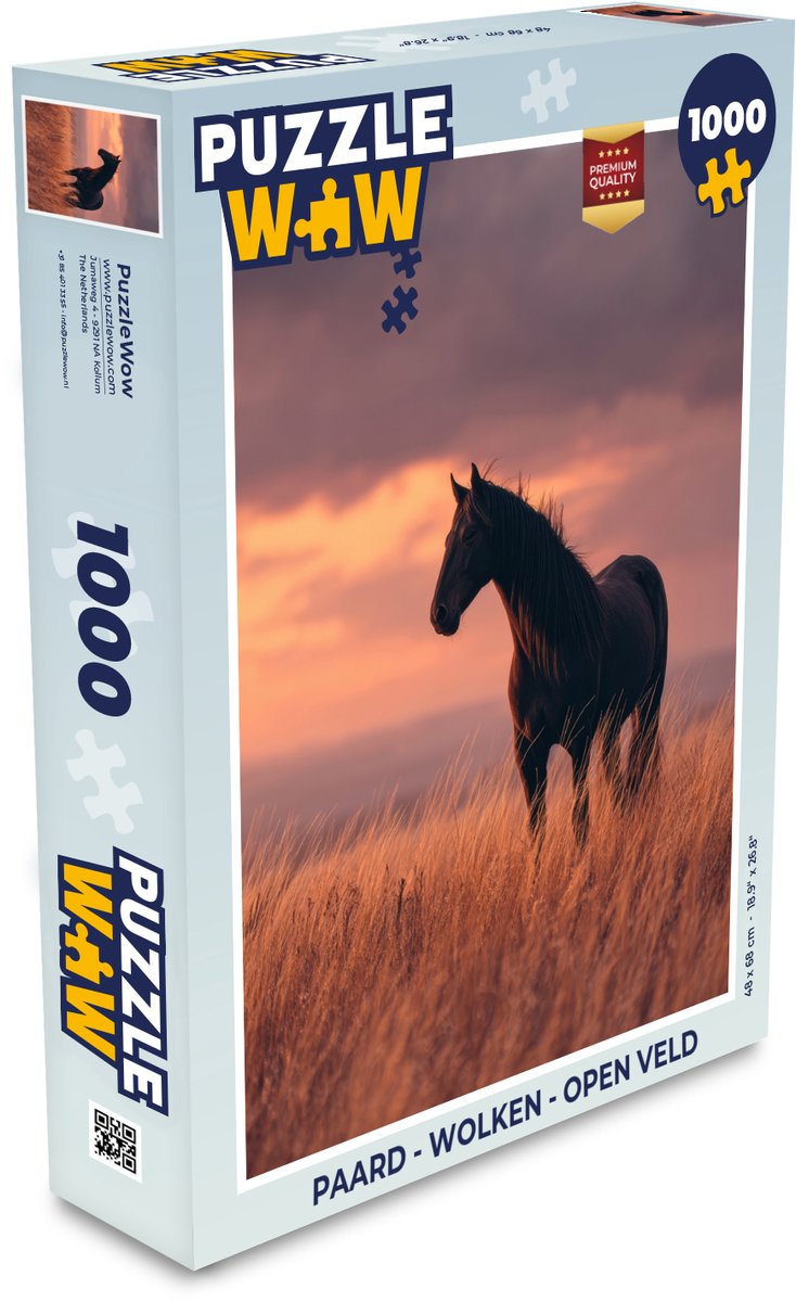 Paard - Wolken - Open veld
