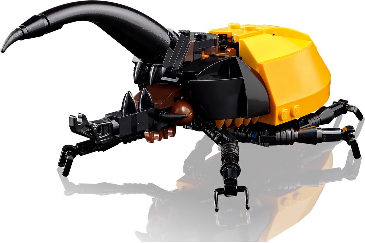 LEGO Ideas De Insectencollectie - 21342 — afbeelding 24