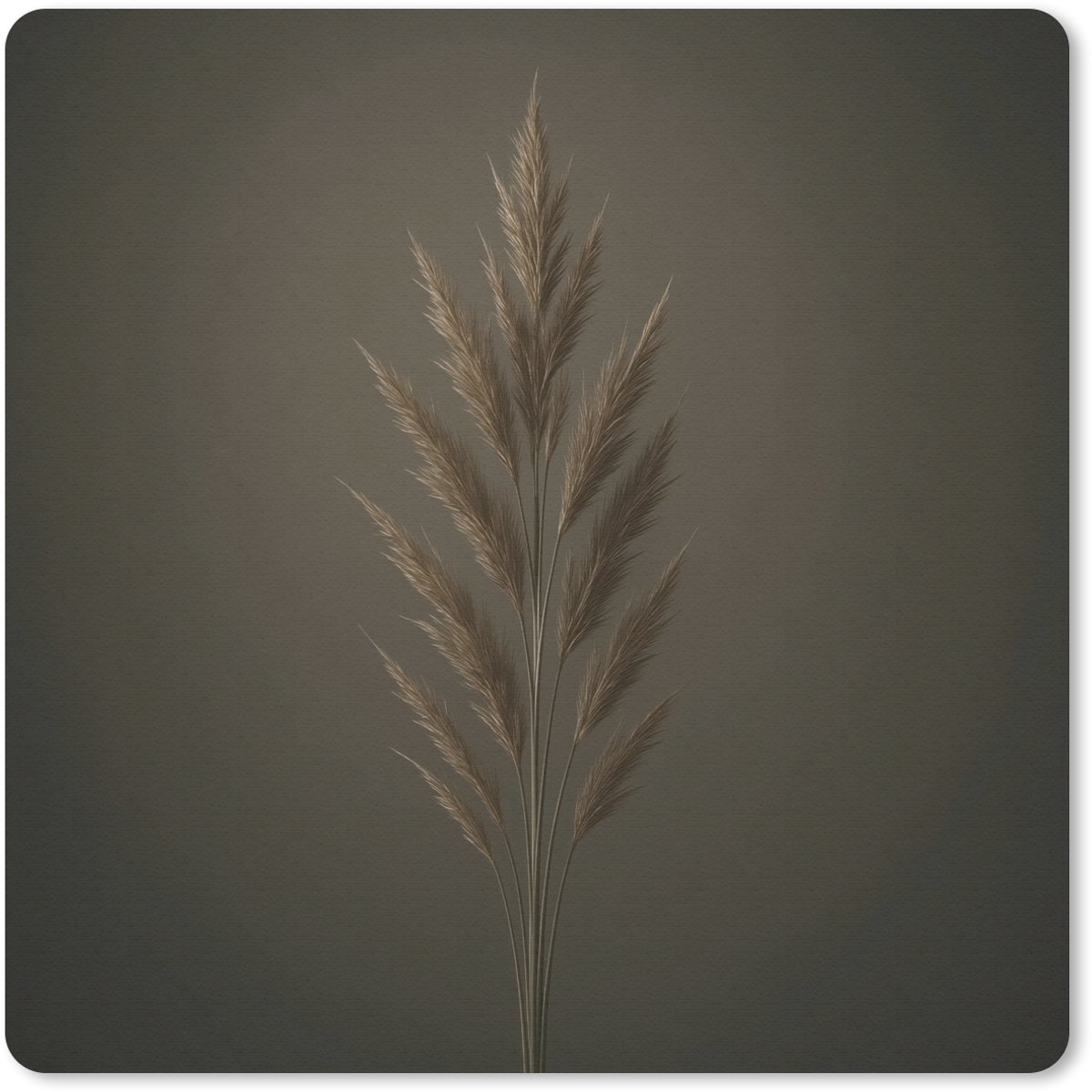 Muismat 30x30 cm - Mousepad Tak - Pluimgras - Donkerbruin - Muismatten
