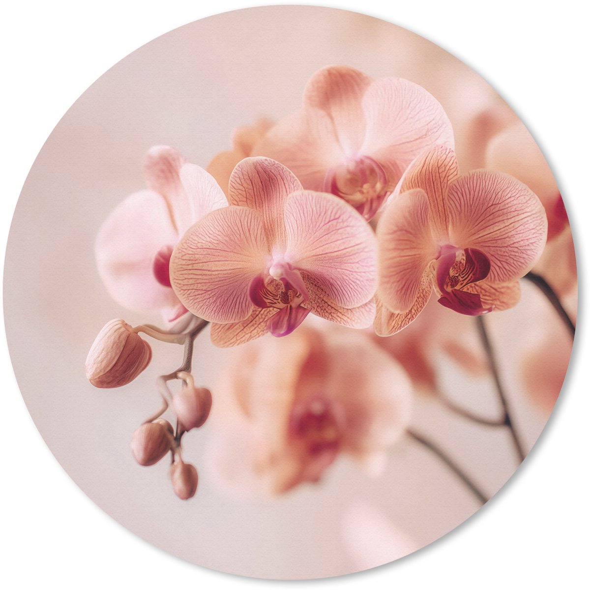 Muismat rond 20x20 cm - Mousepad Orchidee - Bloemen - Roze - Bloemblaadjes - Ronde muismatten