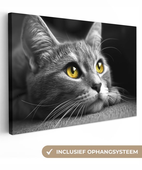 Canvas schilderij 90x60 cm - Wanddecoratie Kat - Zwart - Wit - Dieren - Natuur - Muurdecoratie woonkamer - Slaapkamer decoratie - Kamer accessoires - Schilderijen op canvas