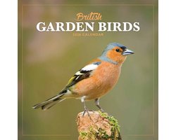 Tuinvogels Kalender 2026 Mini