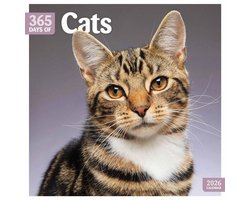 365 Dagen Katten Kalender 2026
