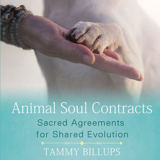 Animal Soul Contracts - cover
