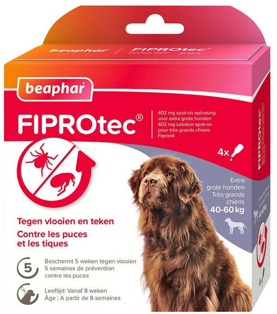 Doos Beaphar FIPROTec. Grote bruine hond kijkt naar rechts. Tekst: Tegen vlooien en teken. Beschermt 5 weken tegen vlooien. 4x 402 mg oplossing.