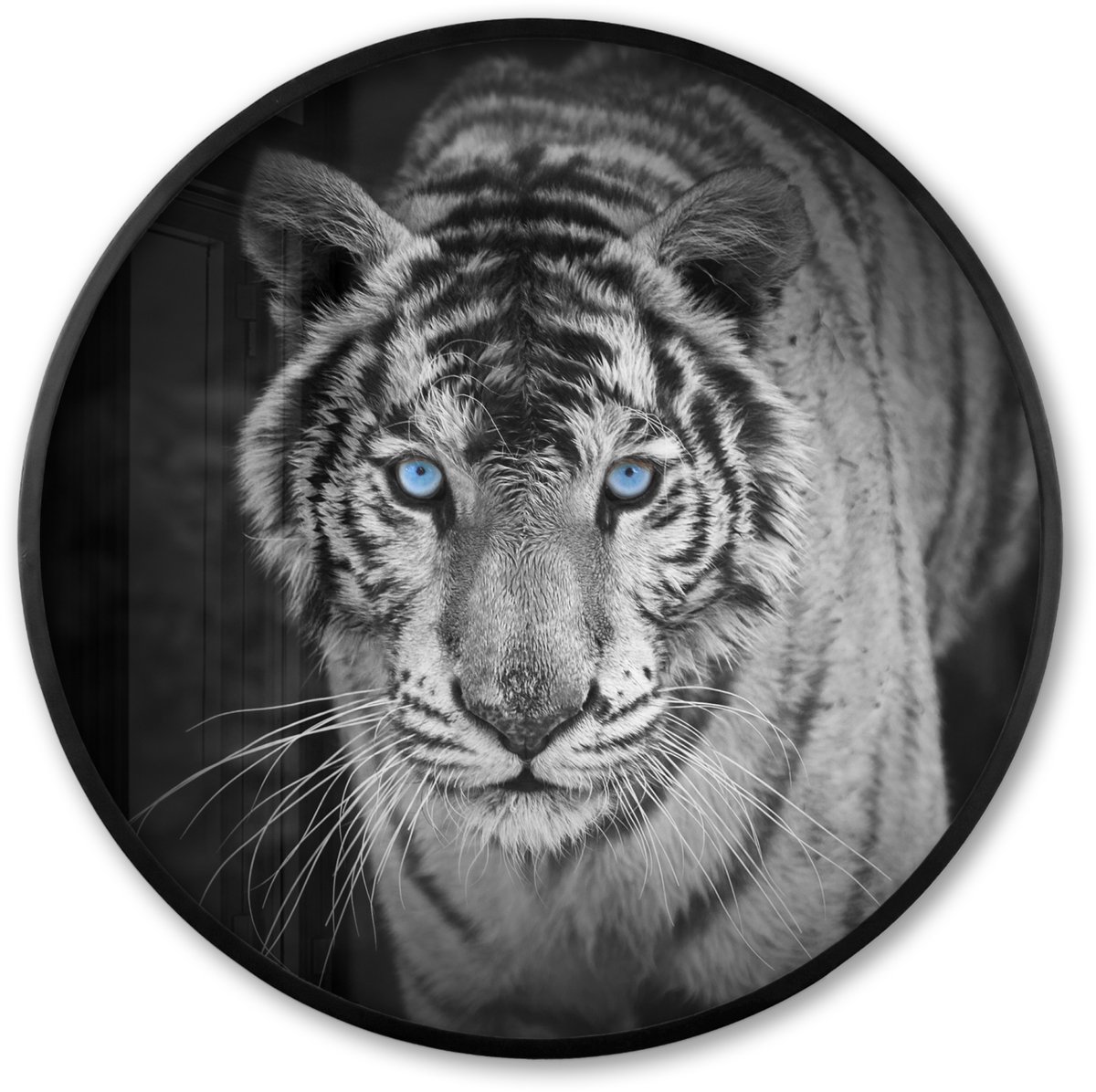 FrameYourWall Poster in lijst Rond - Fotolijst 60x60 cm - Posters - Tijger - Dier - Zwart - Blauw - Modern - Ronde posterlijst zwart - Decoratie - Wanddecoratie woonkamer - Muurdecoratie slaapkamer