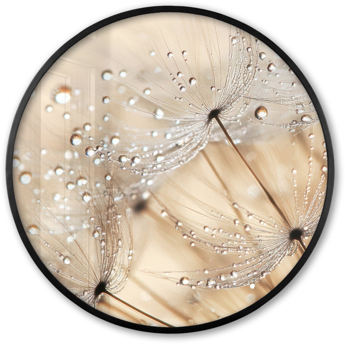 FrameYourWall Poster in lijst Rond - Fotolijst 80x80 cm - Posters - Paardenbloem - Abstract - Natuur - Beige - Ronde posterlijst zwart - Decoratie - Wanddecoratie woonkamer - Muurdecoratie slaapkamer Paardenbloem - Water