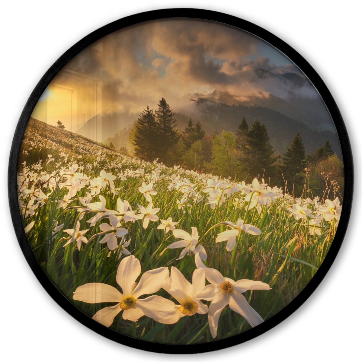 FrameYourWall Poster in lijst Rond - Fotolijst 40x40 cm - Posters - Bloemenveld - Heuvels - Zonsondergang - Berg - Natuur - Wit - Heuvels - Ronde posterlijst zwart - Decoratie - Wanddecoratie woonkamer - Muurdecoratie slaapkamer Multicolor