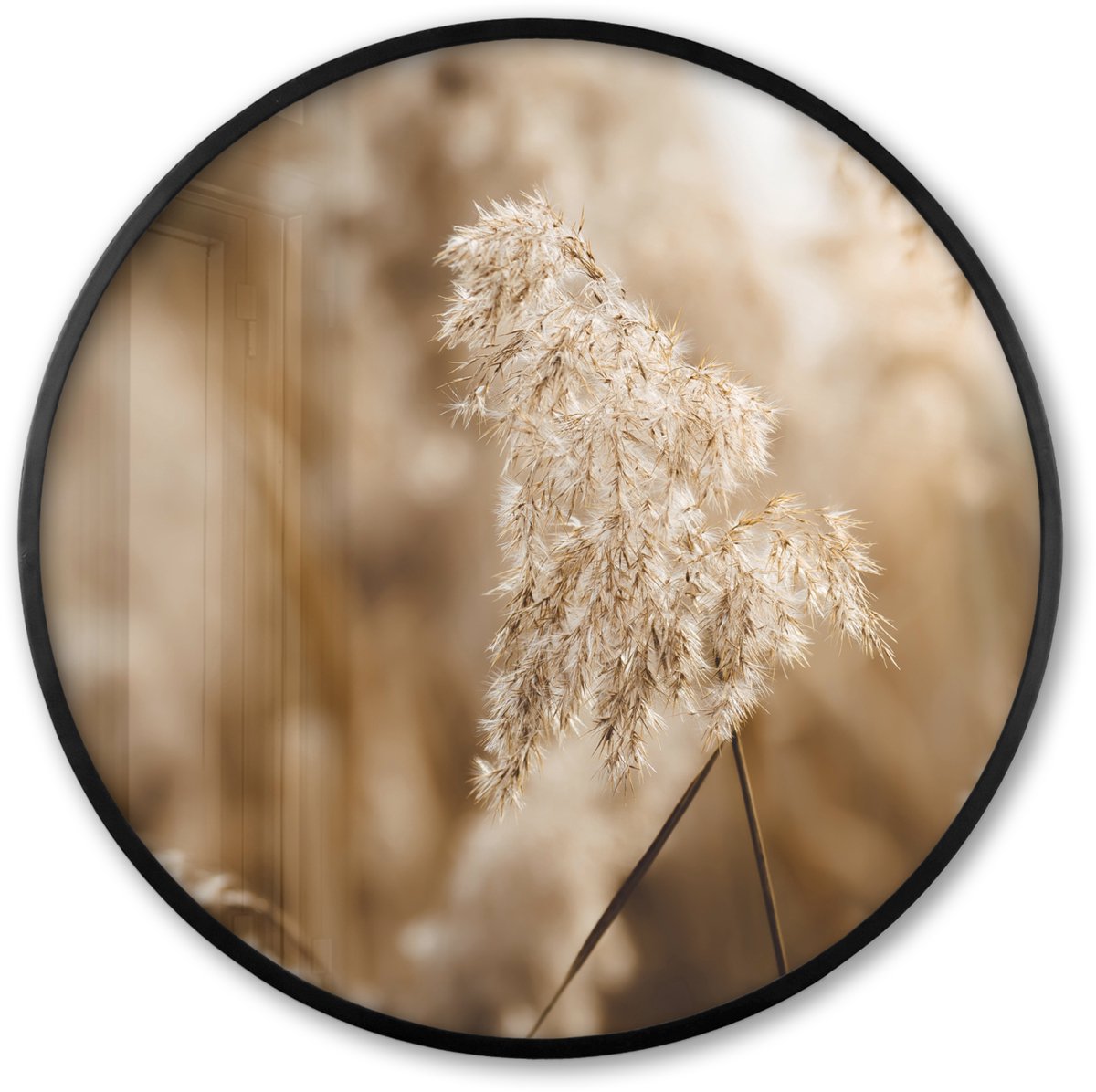 FrameYourWall Poster in lijst Rond - Fotolijst 60x60 cm - Posters - Riet - Plant - Natuur - Beige - Ronde posterlijst zwart - Decoratie - Wanddecoratie woonkamer - Muurdecoratie slaapkamer Multicolor