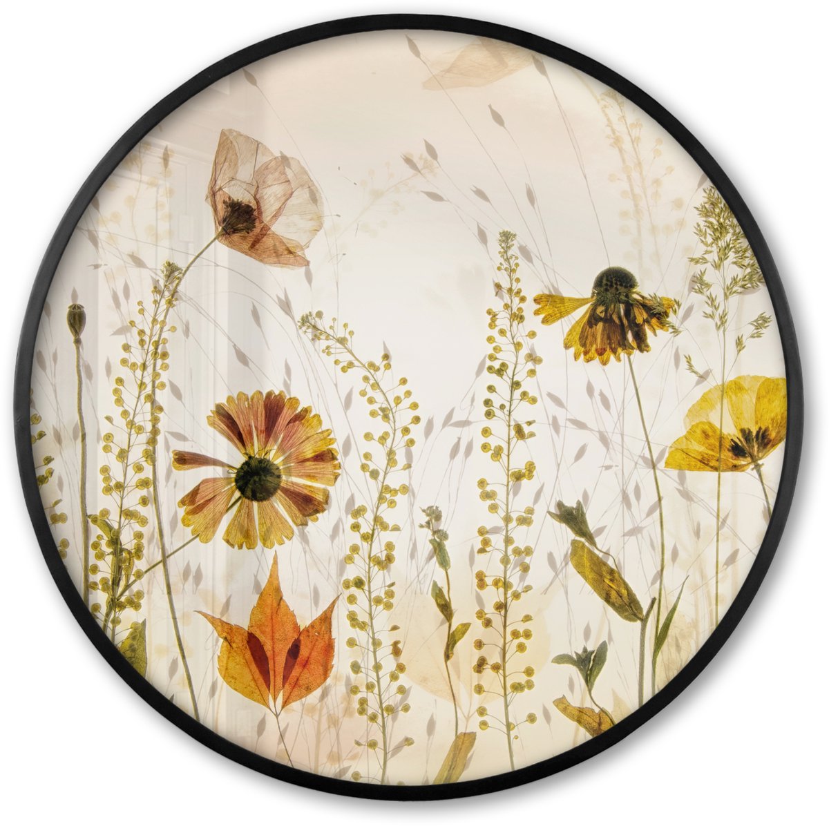 FrameYourWall Poster in lijst Rond - Fotolijst 80x80 cm - Posters - Illustratie - Planten - Insecten - Beige - Ronde posterlijst zwart - Decoratie - Wanddecoratie woonkamer - Muurdecoratie slaapkamer
