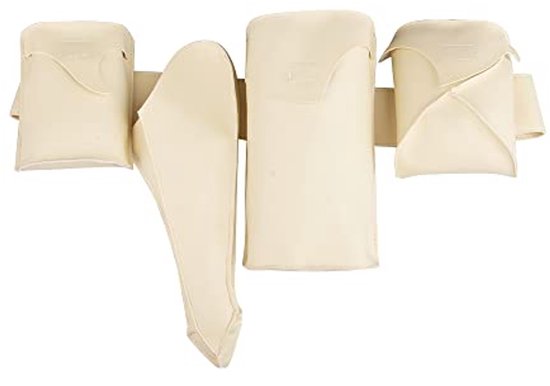 Koningin Padme Amidala Kostuum Accessoires Riem voor Cosplay en Halloween