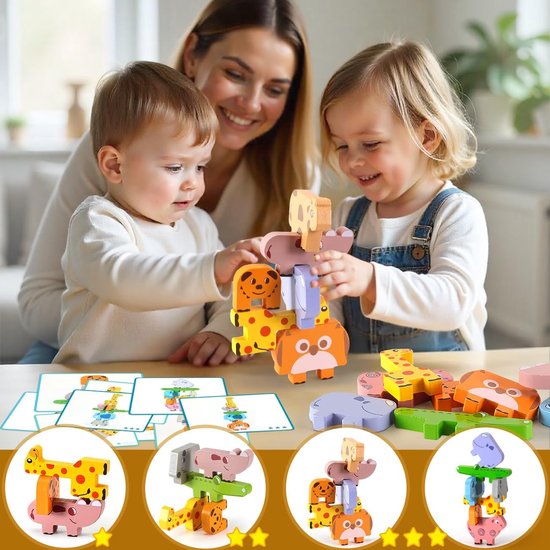 LEADSTAR Montessori Games 3 4 5 jaar, educatief speelgoed, spel kleurencombinatie, speelgoed, stapelen, wiskundige vaardigheden en classificatie, cadeau voor kinderen