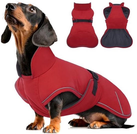 Manteau d'hiver imperméable et coupe-vent pour chien