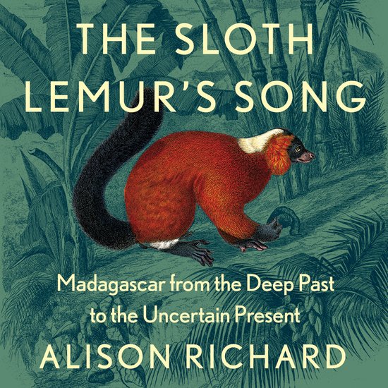 The Sloth Lemur’s Song - cover