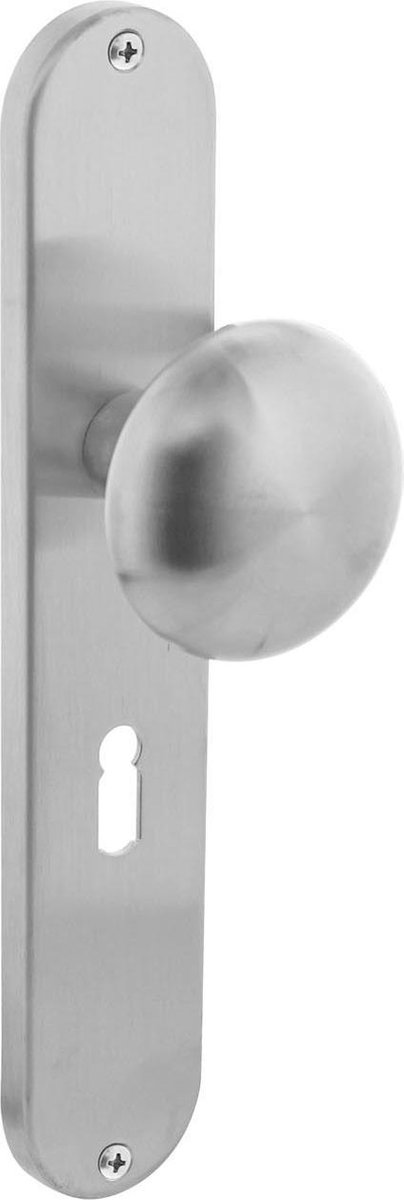 Intersteel Knop Paddenstoel op schild sleutelgat 56 mm rvs geborsteld