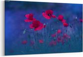 Schilderij - Rode poppy bloemen — 100x70 cm