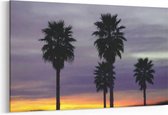 Schilderij - Palmbomen — 100x70 cm