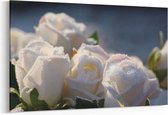 Schilderij - Witte rozen — 90x60 cm