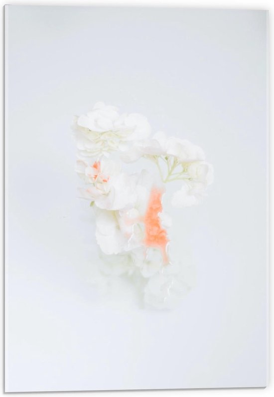 Acrylglas - Witte Bloemen op Witte Achtergrond  - 40x60cm Foto op Acrylglas (Met Ophangsysteem)