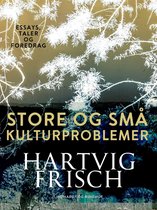 Store og små kulturproblemer