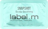 Label M Snapshot Scalp Soothing Treatment 9ml
