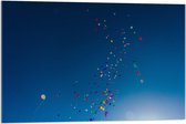 Acrylglas - Tros Gekleurde Ballonnen in de Lucht - 90x60cm Foto op Acrylglas (Met Ophangsysteem)