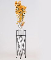 Orchidee van Botanicly – Bamboe Orchidee in witte keramiek pot met stander als set – Hoogte: 80 cm, 2 takken, Oranje bloemen – Dendrobium nobile Firebird