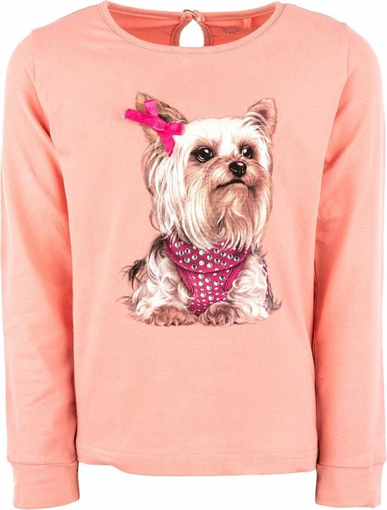 Stones and Bones t-shirt meisjes - roze - dog - maat 104