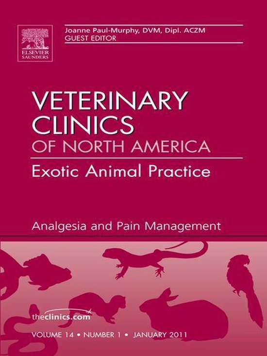 Analgesia, An Issue Of Veterinary Clinics - cover