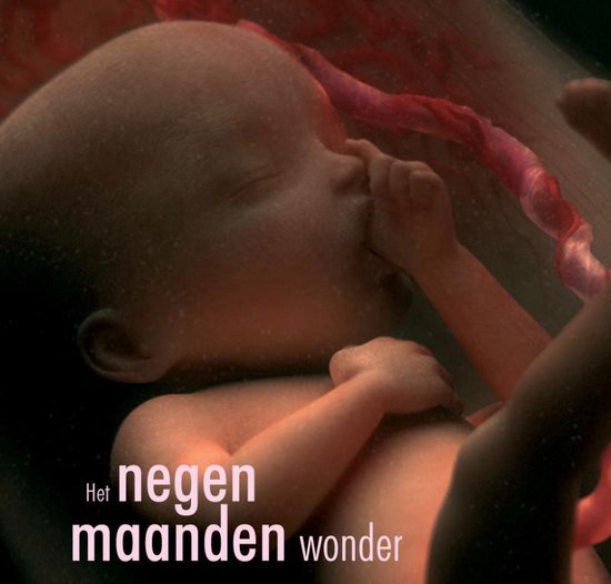 Het Negen Maanden Wonder - cover
