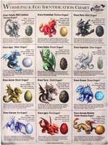 Anne Stokes fantasie afbeelding op canvas van Wyrmling & Egg identification chart. uitleg over draken jongen en het draken ei.