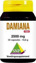 SNP Damiana extract 2500 mg puur 30 capsules
