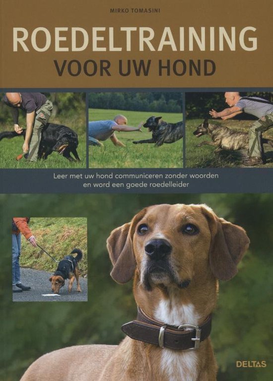 Roedeltraining voor uw hond - cover
