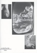 Vis-à-vis  -   The shape of evidence