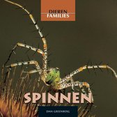Dierenfamilies  -   Spinnen