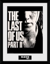 The Last of Us Part 2: Face Collector Print