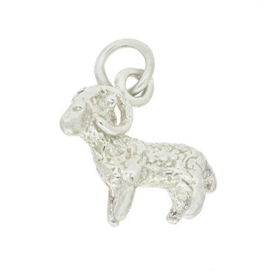 Blinx Jewels Pendentif Argent Horoscope Capricorne
