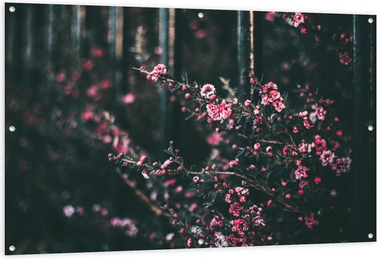 Tuinposter – Roze Struik met Kleine Bloemen - 150x100cm Foto op Tuinposter  (wanddecoratie voor buiten en binnen)