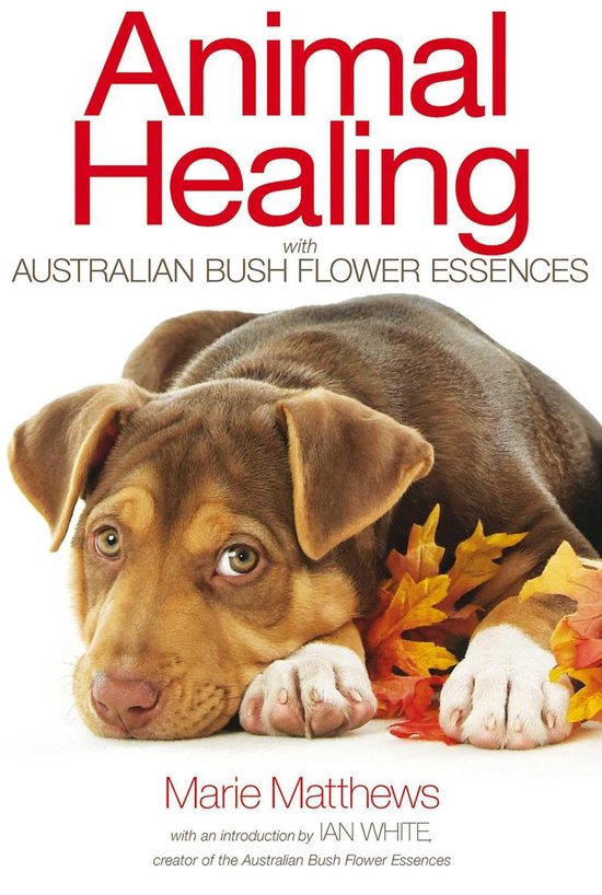 Animal Healing with Australian Bush Flower Essences - cover