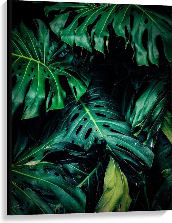Canvas  - Groene Palmbladeren in Donker Bos - 75x100cm Foto op Canvas Schilderij (Wanddecoratie op Canvas)