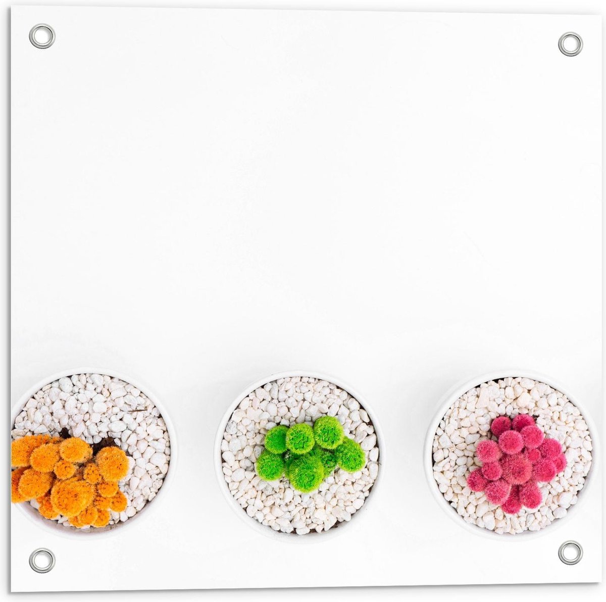 Tuinposter – Gekleurde Cactuspotjes - 50x50cm Foto op Tuinposter (wanddecoratie voor buite