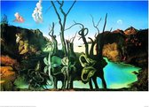 Poster - Dali Reflections Elephants - 80 X 60 Cm - Multicolor