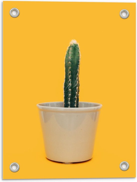 Tuinposter – Cactusplant in Wit Potje met Gele Achtergrond - 30x40cm Foto op Tuinposter  (wanddecoratie voor buiten en binnen)