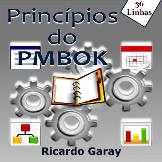 Princípios do PMBOK - cover