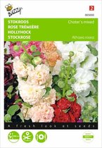 Alcea rosea Chaters mix