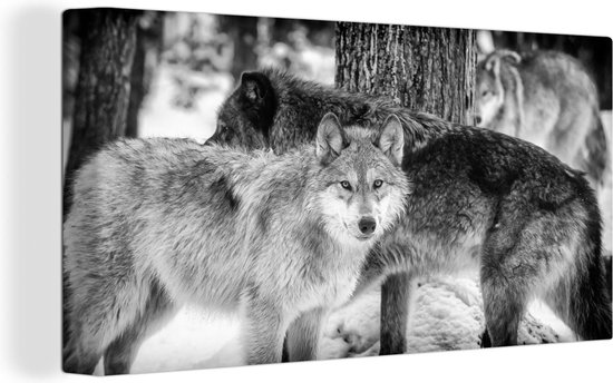 Groupe de loups en toile noir et blanc 2cm 160x80 cm - Tirage photo sur  toile... | bol.com