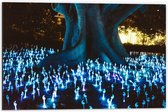 Dibond - Blauwe Neon Plantjes bij Eeuwenoude Boom - 60x40cm Foto op Aluminium (Met Ophangsysteem)