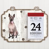 Scheurkalender 2023 Hond: Mexicaanse Naakthond